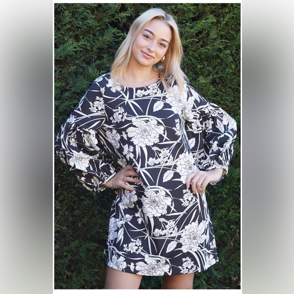Bryn Walker L/S Lantern Dress in Cream/Black Print Modal Ponti Size Large 2024